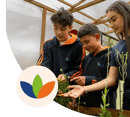 Jóvenes interactuando con unas plantas en la sede de Innova Schools